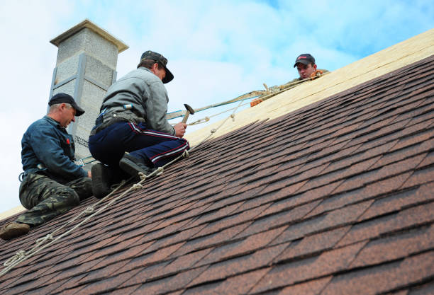Best Roof Gutter Cleaning  in Avenal, CA